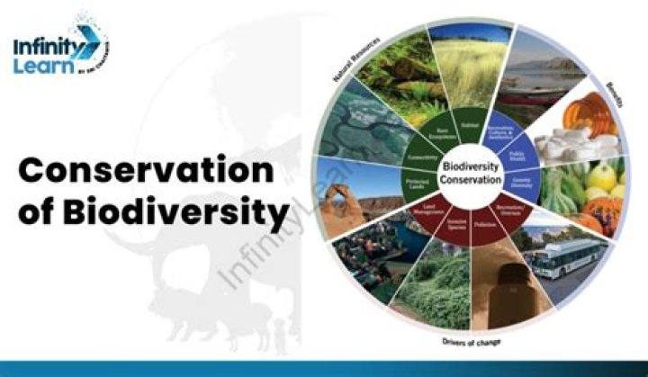 A Journey Into Extinct Biodiversity
