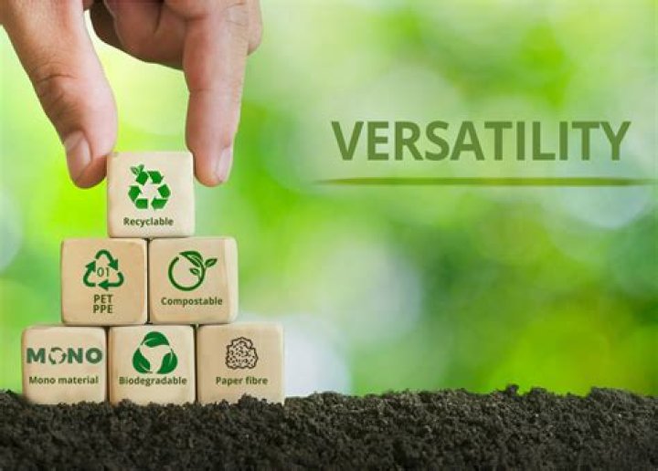 A Journey Of Versatility And Intensity