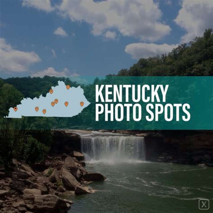 A Photo Journey Through Fans' Perspectives