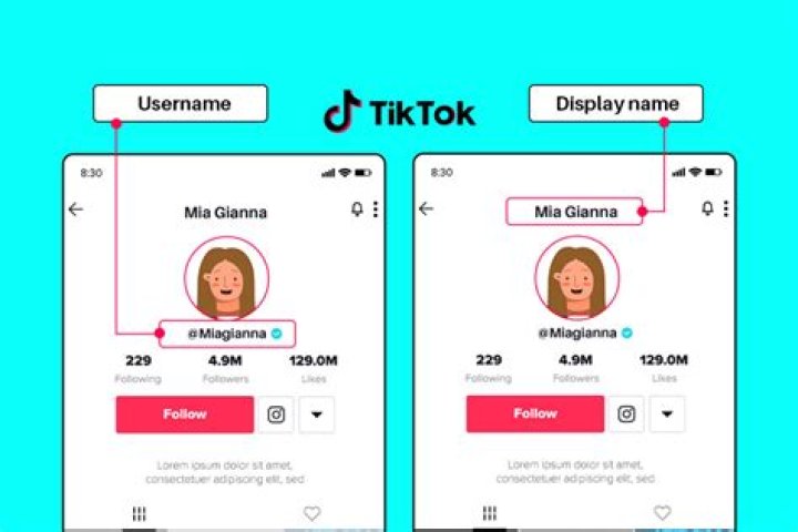 Blocking On TikTok And Username Visibility