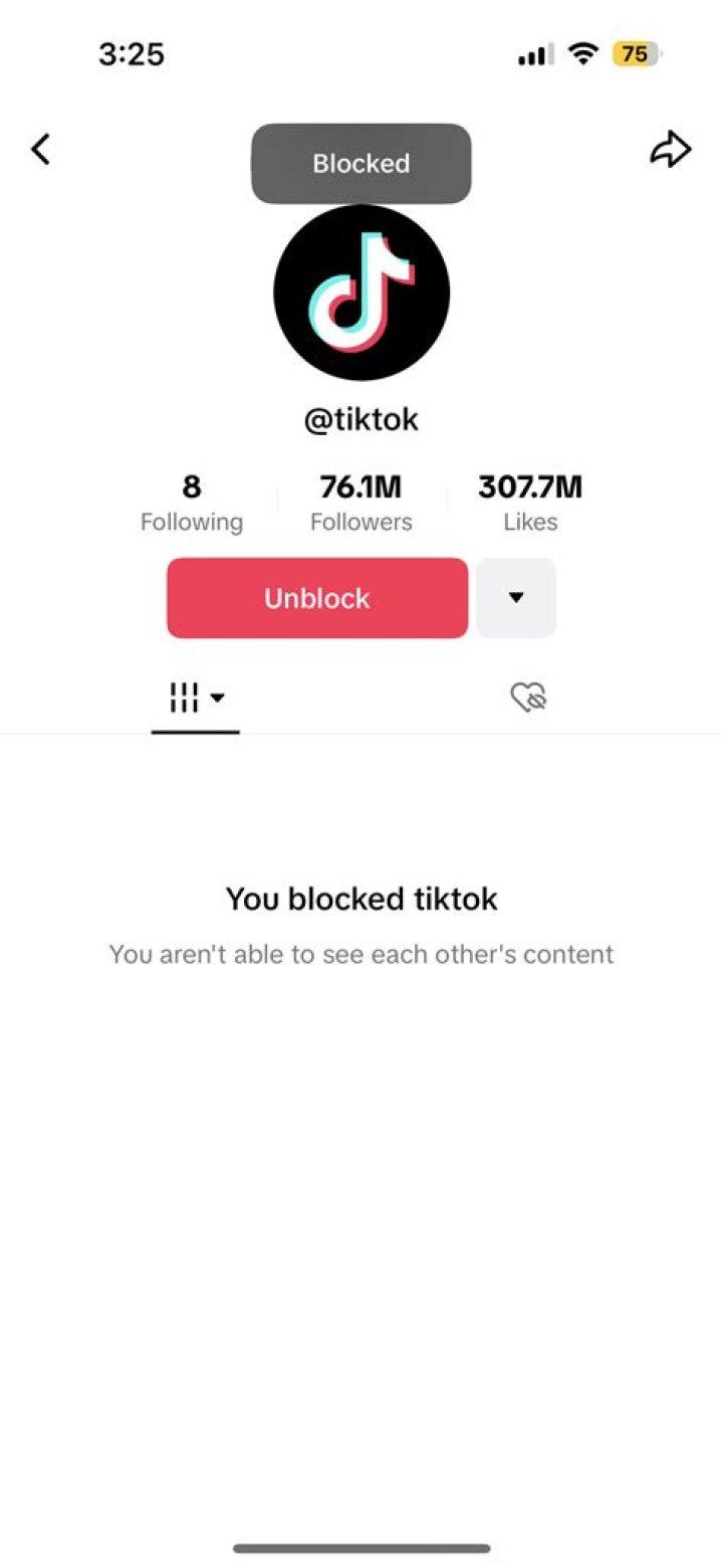 Can Blocked Users Still See Your TikTok Comments?