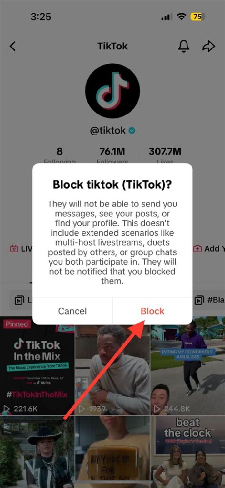 Discover Who Can See Your TikTok Comments, Even When Blocked