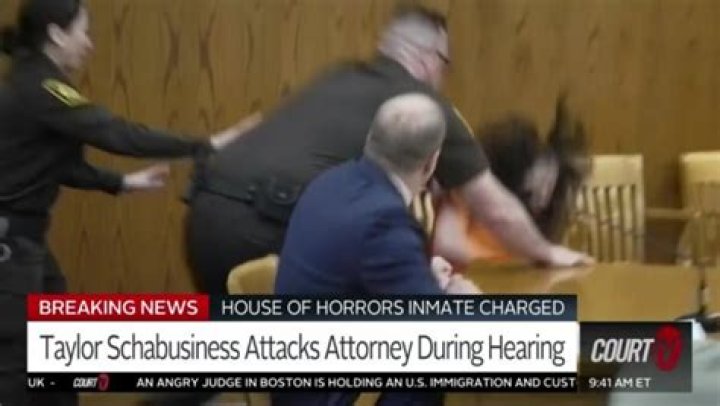 Discoveries In The Taylor Schabusiness Motive