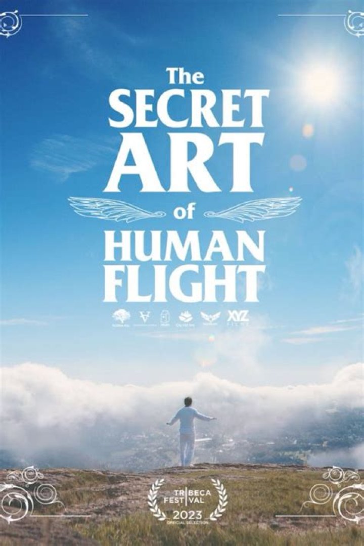 Dive Into The Art Of Human Flight