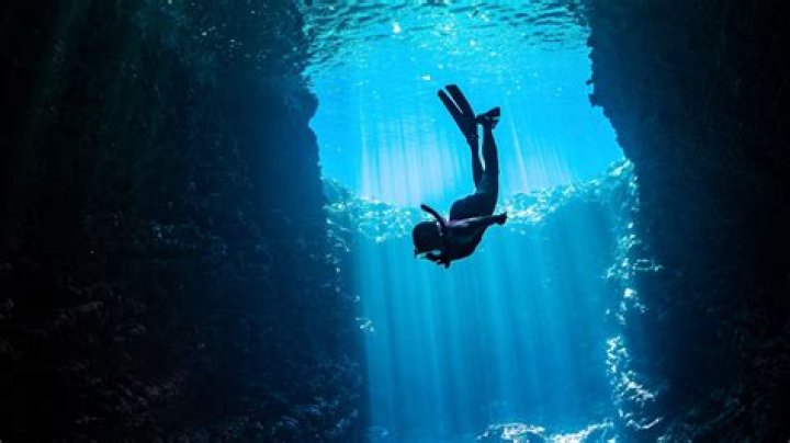 Dive Into The World Of Marlene Favela