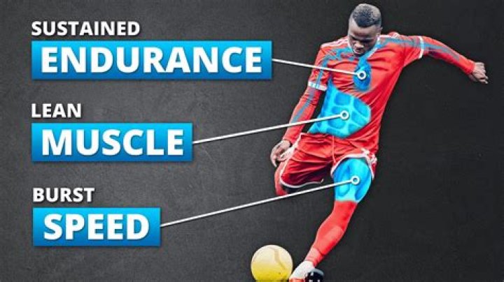 Exploring Physicality And Its Significance