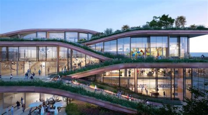 Exploring The Essence Of Dierdre Friel's Art