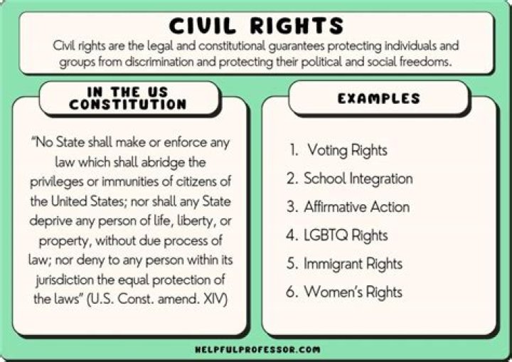 Insights Into Criminal Justice And Civil Rights