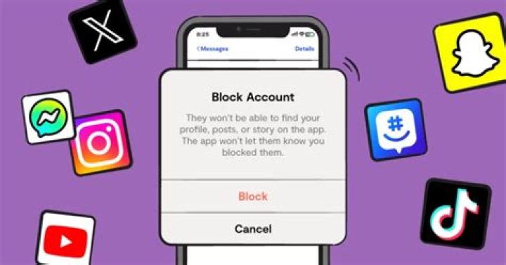 Message Fate When Blocking On TikTok