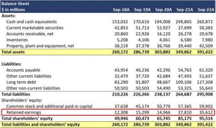 Net Worth, Income, And Earnings Breakdown