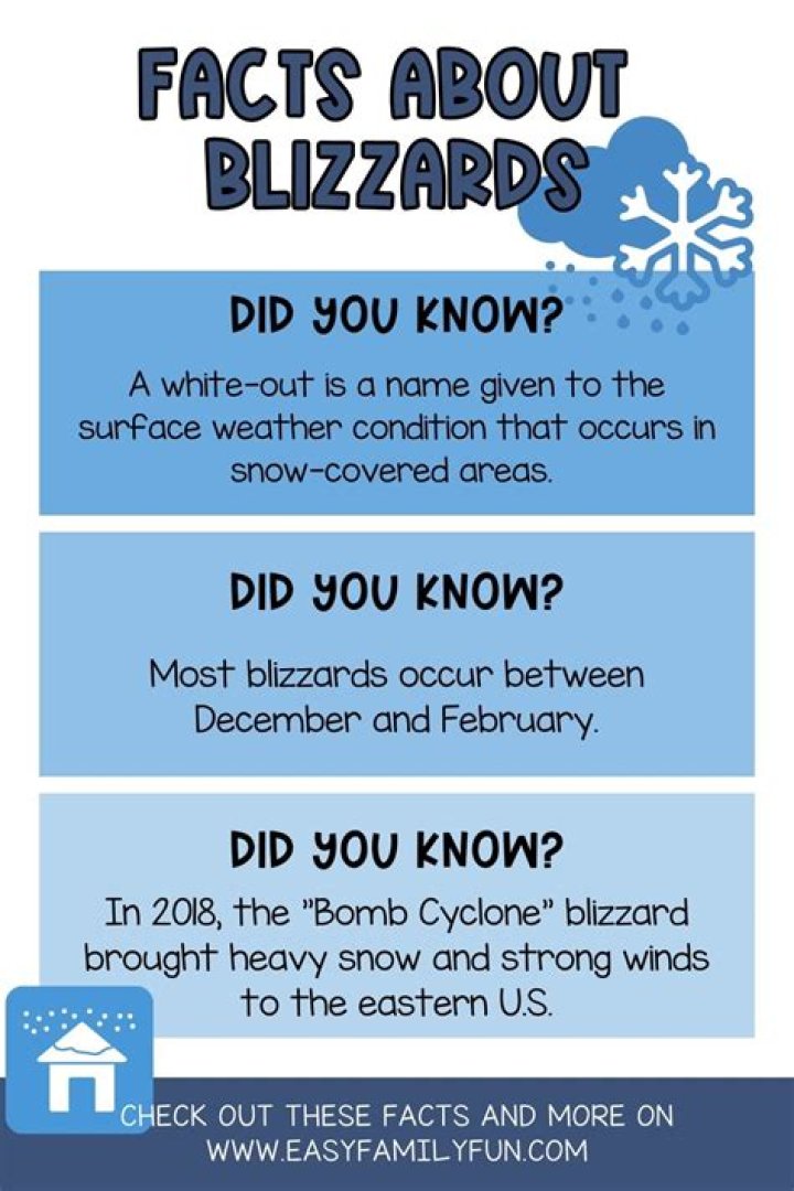 Surprising Revelations And Chilling Insights