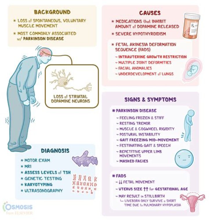 Uncover Its Causes, Symptoms & More