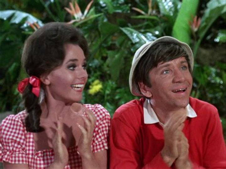 Uncover The Enchanting World Of Mary Ann Gilligan's Island