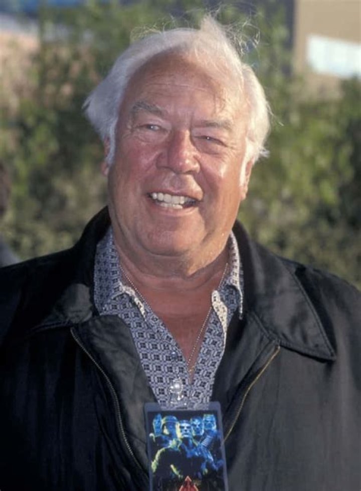 Uncover The Enthralling World Of George Kennedy On TV