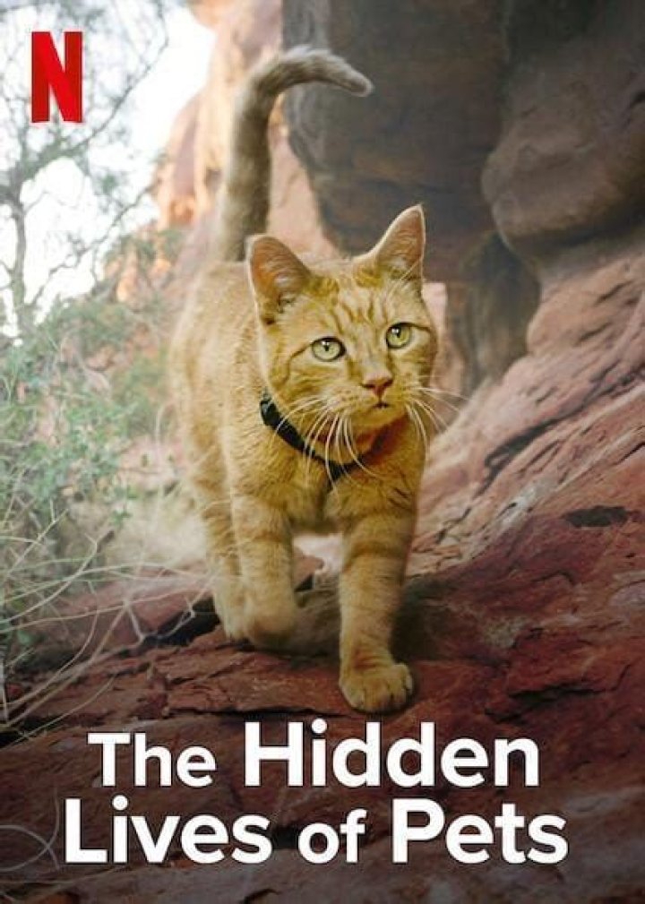 Uncover The Hidden Lives Of Lucas Bravo's Siblings: Discoveries And Insights