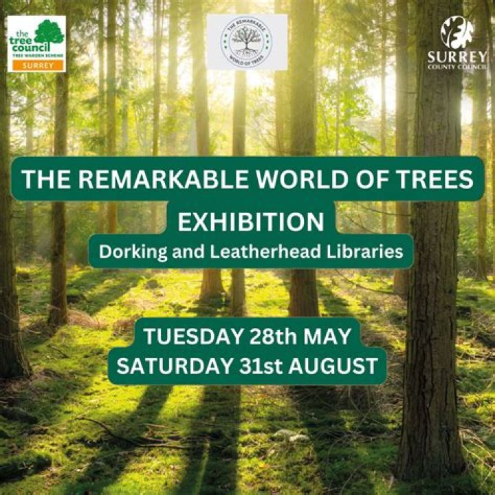 Uncover The Remarkable World Of Deena Nicole Cortese: A Journey Of Discovery