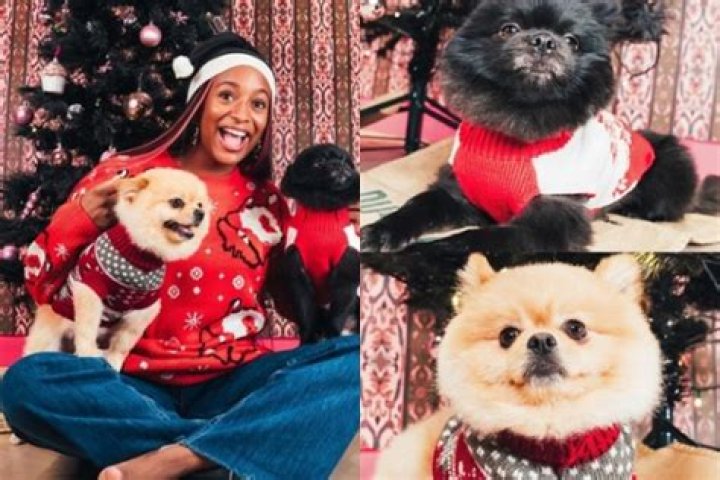 Uncover The Secrets To DJ Cuppy's 2024 Net Worth