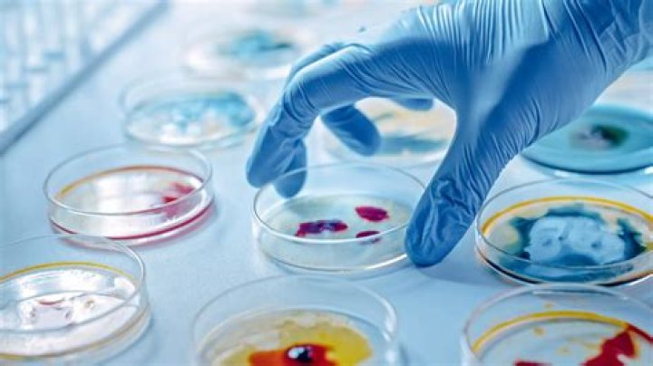 Unleash The Secrets Of Viral Kayes: Discoveries And Insights Revealed