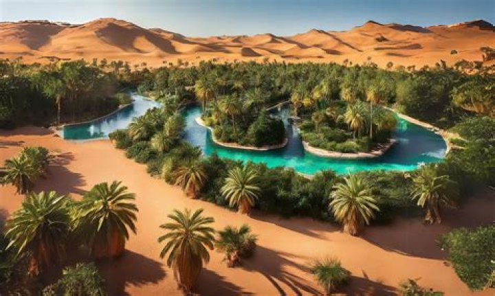 Unveil The Secrets Of Desert Oases: Cacti And Camels