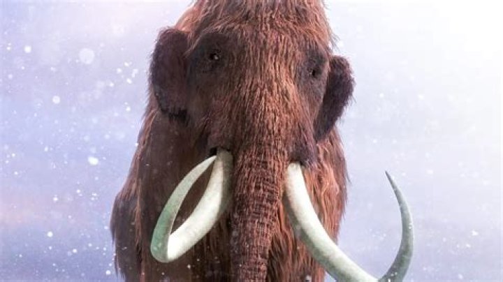 Unveiling The Ancient Wisdom Of Manny The Mammoth From Ice Age