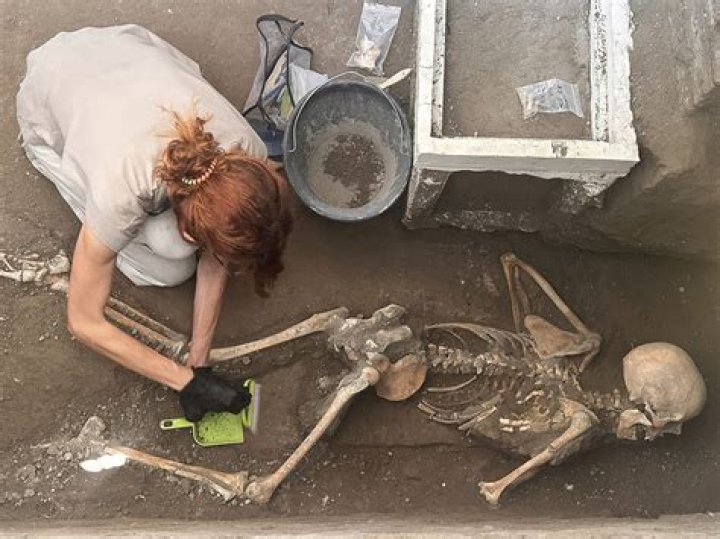 Unveiling The Enigmatic World Of "KD Wife": Discoveries And Insights