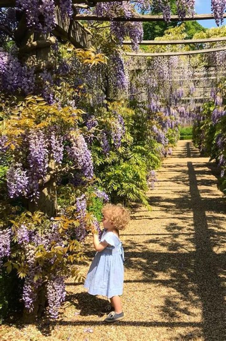 Unveiling The Extraordinary World Of Iris Hanbury: Discoveries And Insights