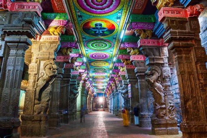 Unveiling The Literary Genius Of Meenakshi Raveendran: Discoveries And Insights