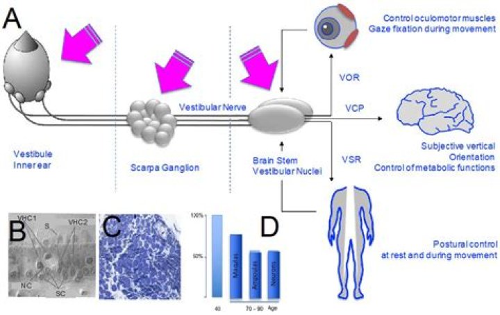 Unveiling The Many Facets Of Joie Chavis: A Journey Of Discovery