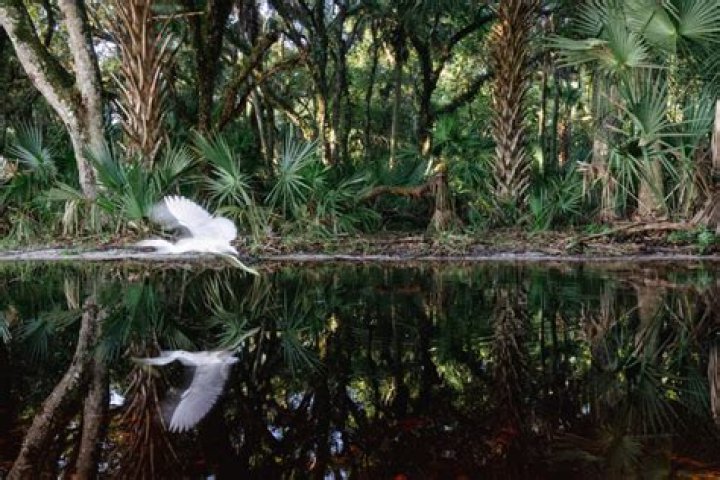 Unveiling The Mysteries Of Robert Hight Illness: Discoveries And Insights