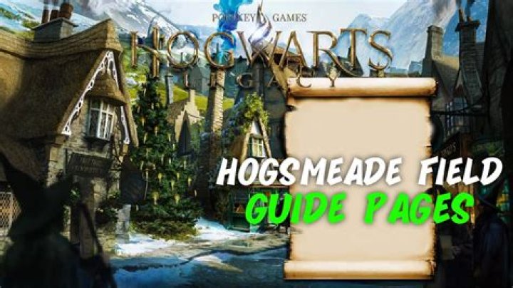 Unveiling The Secrets Of Academy Age Requirements: A Guide To Success